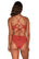 Back view of Swim Systems Cayenne Delfina V Front Bottom