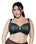 Parfait Bras Black Onyx / 32 / D Parfait Charlotte Lace Unlined Bra