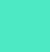 Sunsets Mint green solid swimsuit color