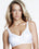 Dominique Bras 32 / B / white Dominique Isabella Cotton Lined Soft Stretch Bra 5316